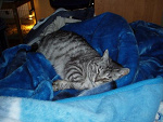Fotoblog malwina