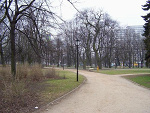 Fotoblog misiekf
