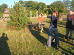 Fotoblog haosiatko