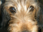 Fotoblog olga13