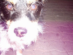 Fotoblog aki