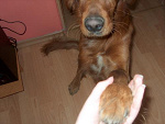 Fotoblog misialina