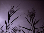 Fotoblog niematak