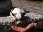 Fotoblog xiao