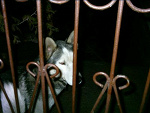 Fotoblog sysiaq