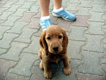 Fotoblog xalexx