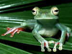 Fotoblog rzabcia