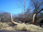 Fotoblog yaghoda