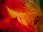 Fotoblog observe