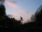 Fotoblog drenamzg