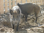 Fotoblog elendt01