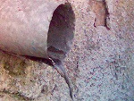 Fotoblog stroffa