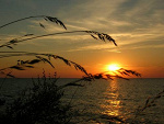 Fotoblog liliannka