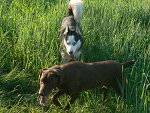 Fotoblog aniolekk007