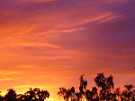 Fotoblog mypointofview