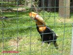 Fotoblog pilat