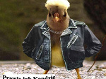 Fotoblog prawie0jak0blog