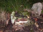 Fotoblog pustelnica