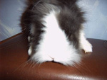 Fotoblog darmi