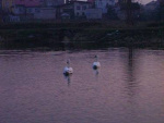 Fotoblog 6madwomen6