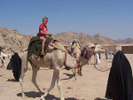 Fotoblog scypion