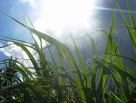 Fotoblog sabinan