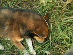 Fotoblog kurasmacius