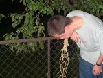 Fotoblog leonowawyborowa