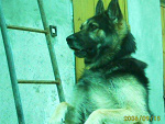 Fotoblog szurnienta