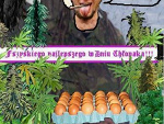 Fotoblog porycie