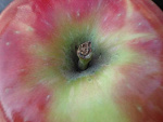 Fotoblog madziamm