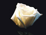 Fotoblog asaliach