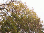Fotoblog sylvia87
