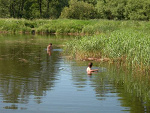 Fotoblog karollasek