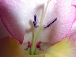 Fotoblog ludzieciemnosci
