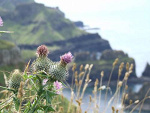 Fotoblog atwa