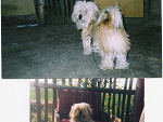 Fotoblog kamilenka1