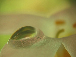 Fotoblog biedronka90