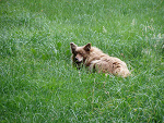 Fotoblog elprezidente