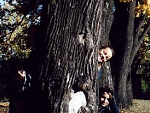 Fotoblog oshin