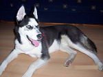 Fotoblog amanmajster