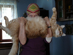 Fotoblog luckycat