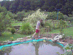Fotoblog regnis987654321