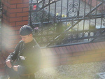 Fotoblog danios