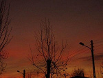 Fotoblog kafia16