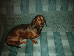 Fotoblog kavsky