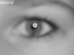 Fotoblog memorial