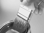 Fotoblog timidite