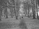 Fotoblog ballberith