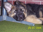 Fotoblog danonka93